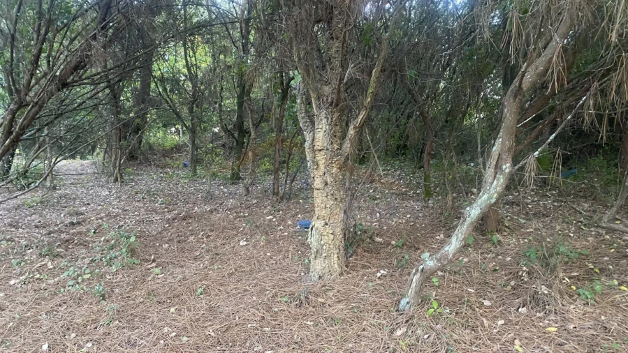 Terreno para Venda em Usseira Foto 23