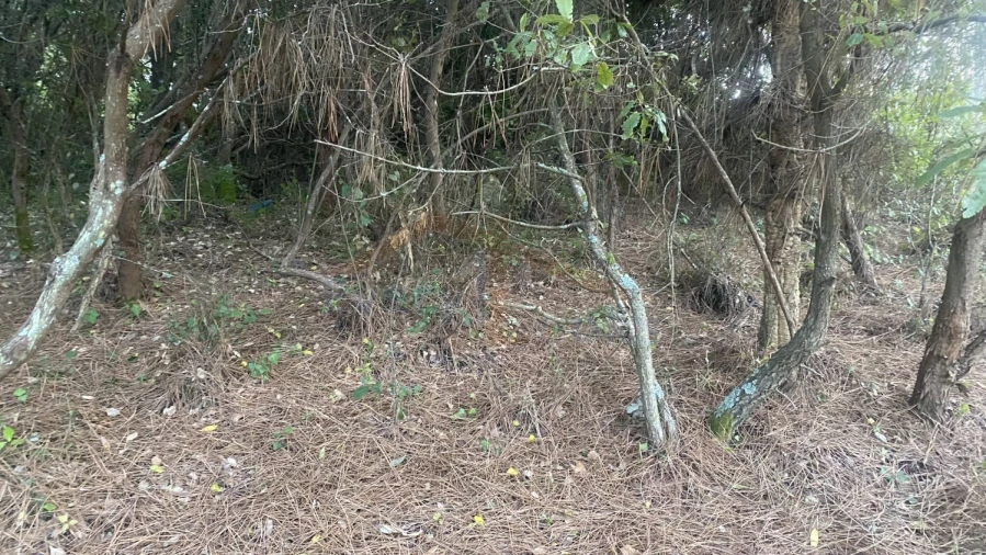 Terreno para Venda em Usseira Foto 22