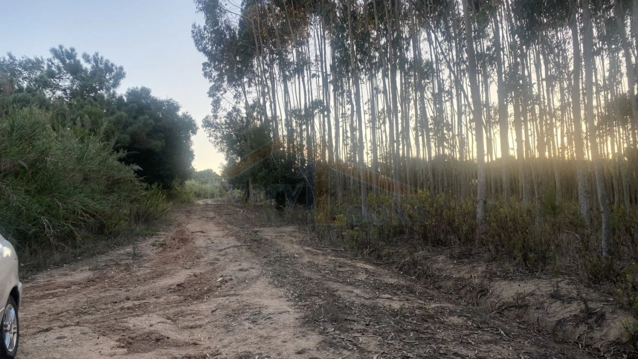 Terreno para Venda em Usseira Foto 5