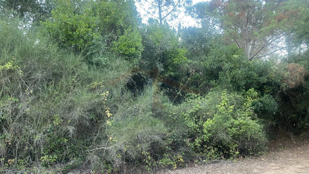 Terreno para Venda em Usseira Foto 10