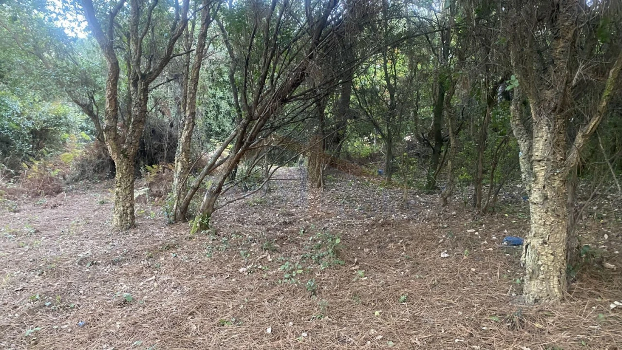 Terreno para Venda em Usseira Foto 24