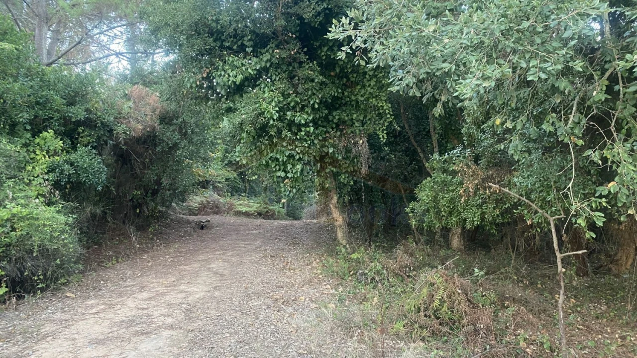 Terreno para Venda em Usseira Foto 12