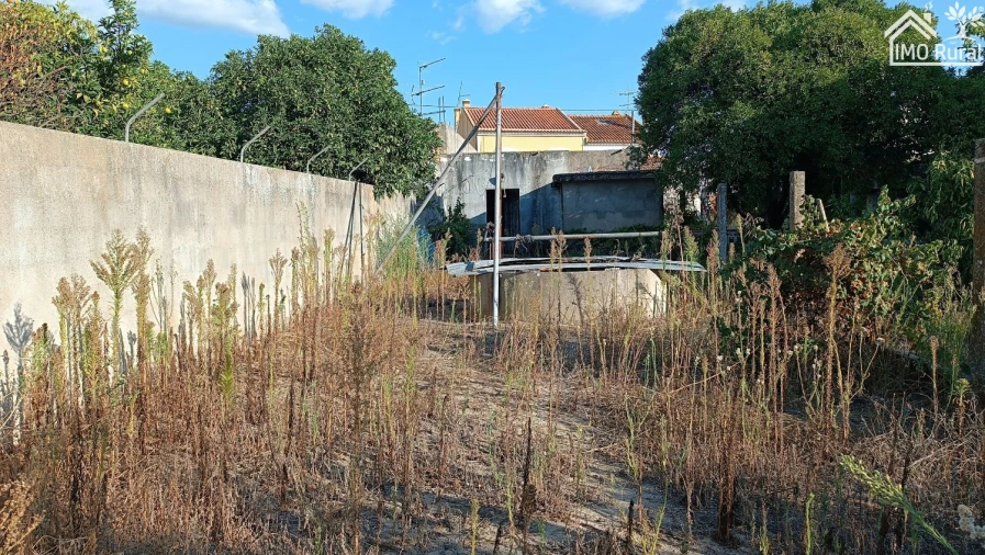 Terreno para Venda em Almeirim Foto 4