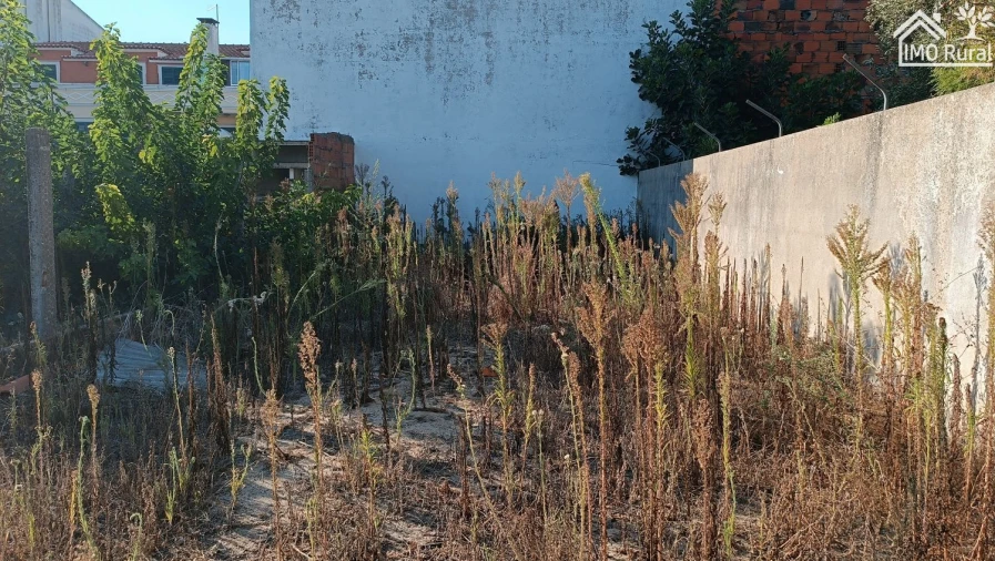 Terreno para Venda em Almeirim Foto 3
