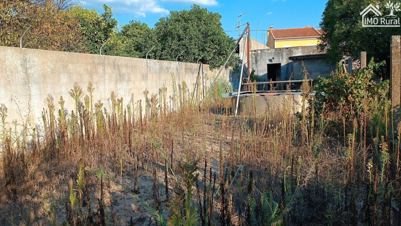 Terreno para Venda em Almeirim Foto 9