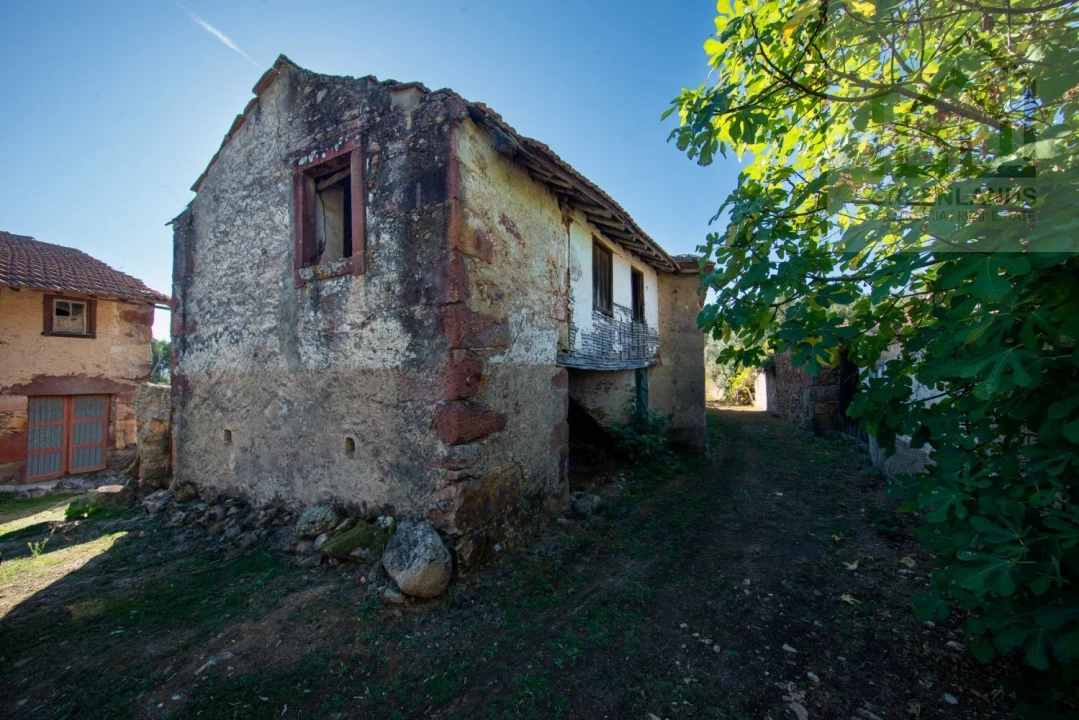 Quinta T4 para Venda em Lavegadas Foto 5