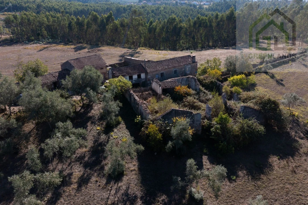 Quinta T4 para Venda em Lavegadas Foto 3