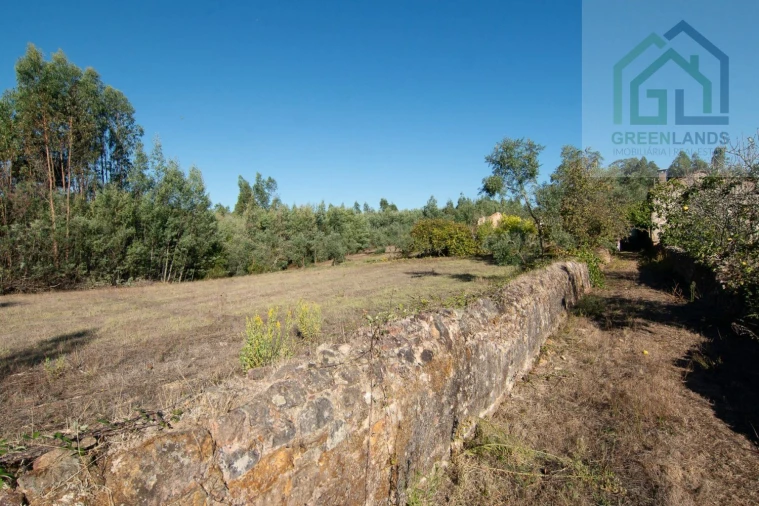 Quinta T4 para Venda em Lavegadas Foto 9