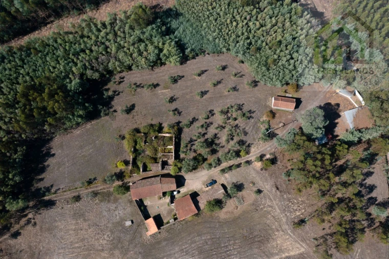 Quinta T4 para Venda em Lavegadas Foto 16