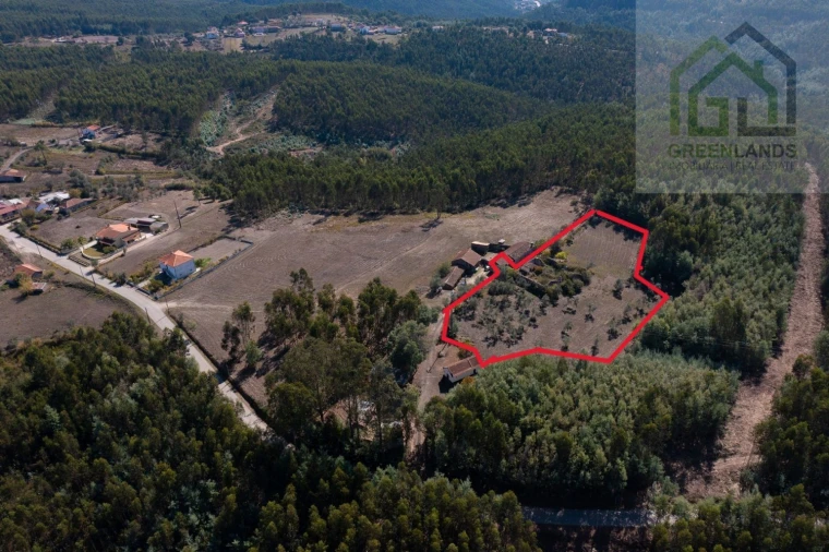 Quinta T4 para Venda em Lavegadas Foto 11