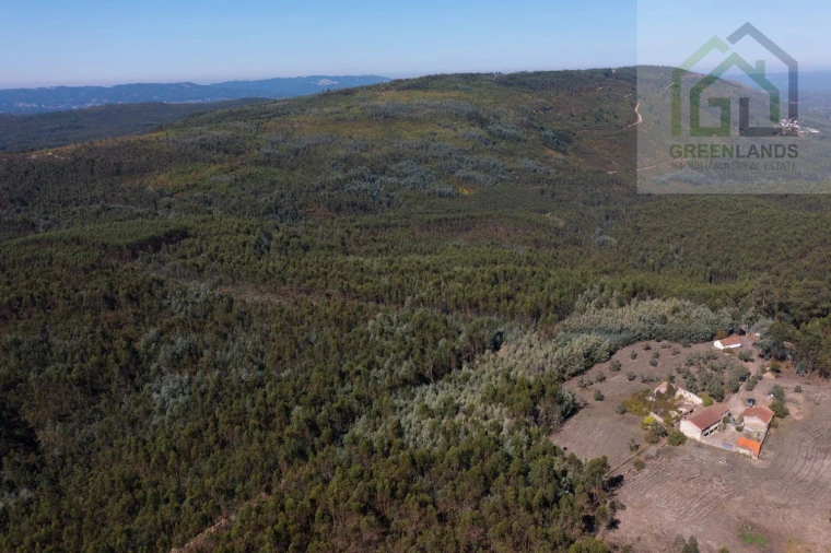 Quinta T4 para Venda em Lavegadas Foto 14