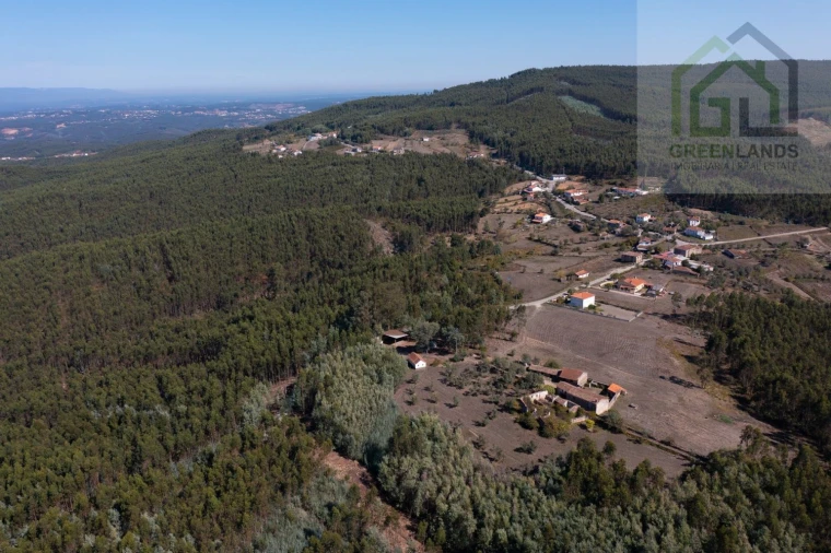 Quinta T4 para Venda em Lavegadas Foto 13