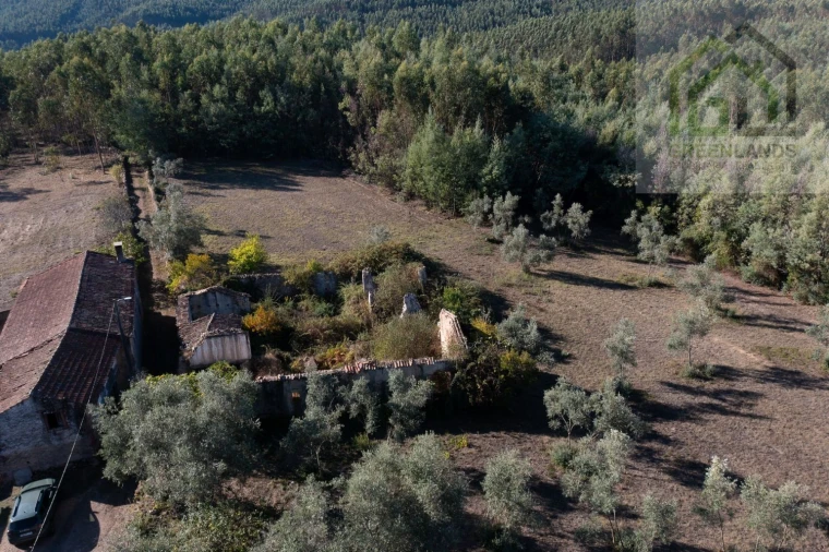 Quinta T4 para Venda em Lavegadas Foto 4