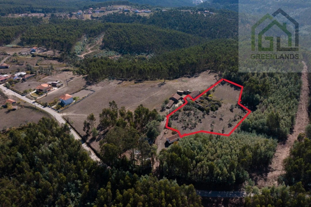 Quinta T4 para Venda em Lavegadas Foto 11