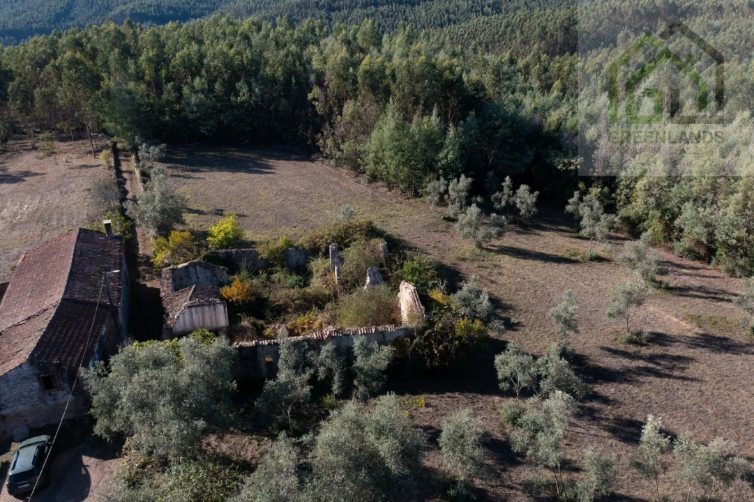 Quinta T4 para Venda em Lavegadas Foto 4