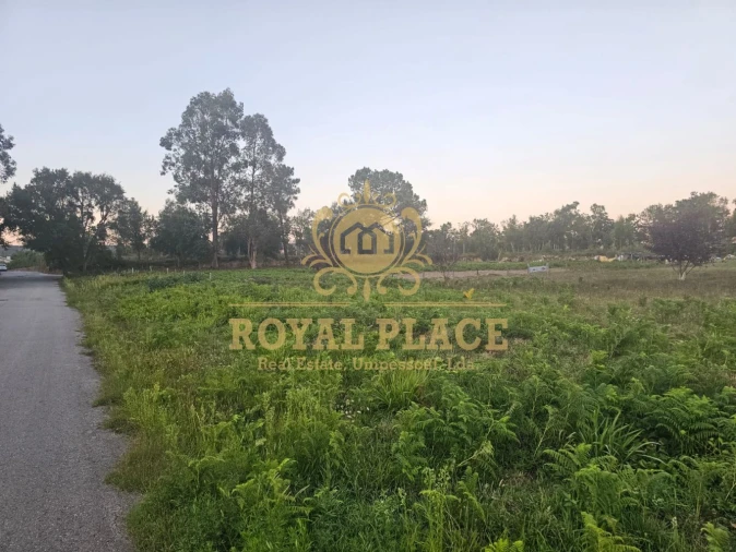 Terreno para Venda em Santa Maria da Feira, Travanca, Sanfins e Espargo
