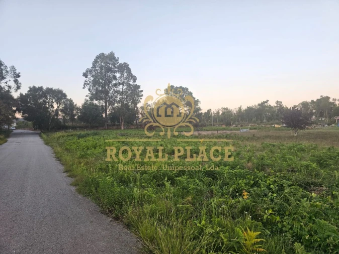 Terreno para Venda em Santa Maria da Feira, Travanca, Sanfins e Espargo Foto 5