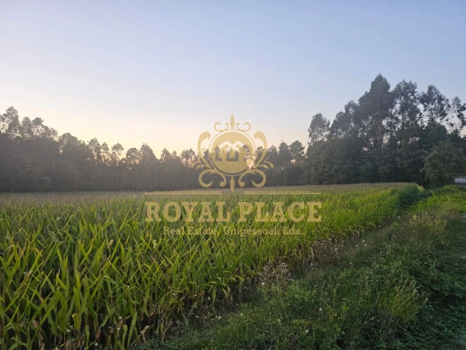 Terreno para Venda em Santa Maria da Feira, Travanca, Sanfins e Espargo Foto 4