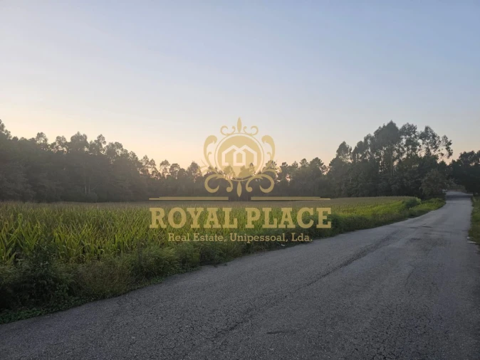 Terreno para Venda em Santa Maria da Feira, Travanca, Sanfins e Espargo Foto 7