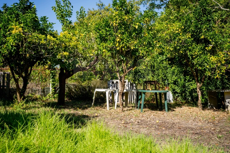 Terreno para Venda em Roliça Foto 5