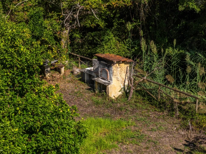 Terreno para Venda em Roliça Foto 3