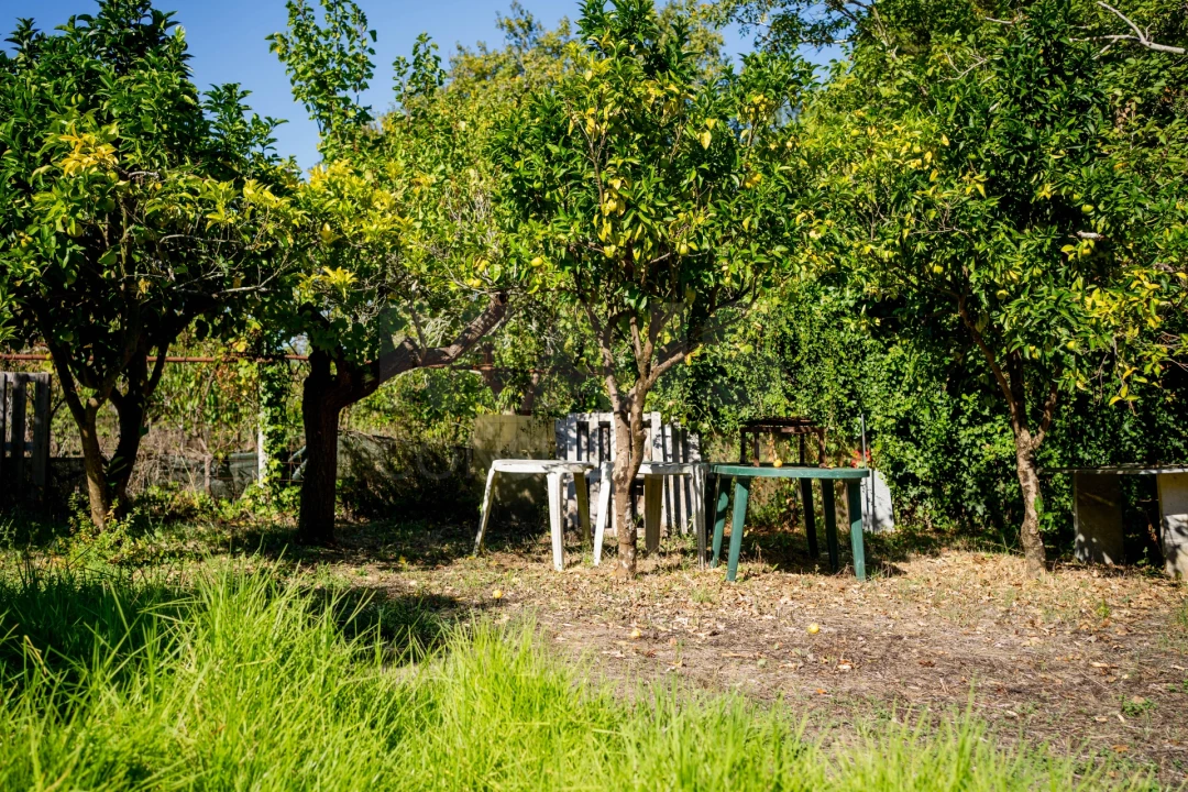Terreno para Venda em Roliça Foto 5