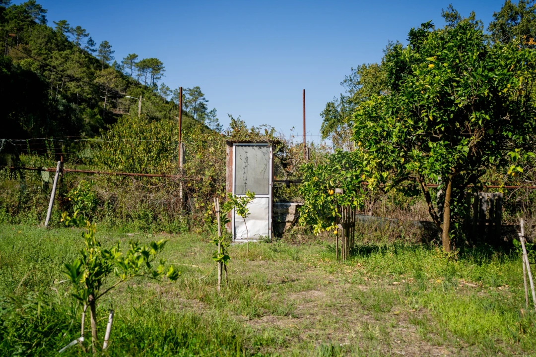 Terreno para Venda em Roliça Foto 4