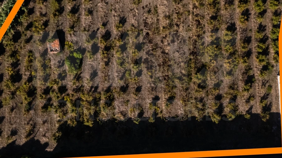 Terreno para Venda em Gaeiras