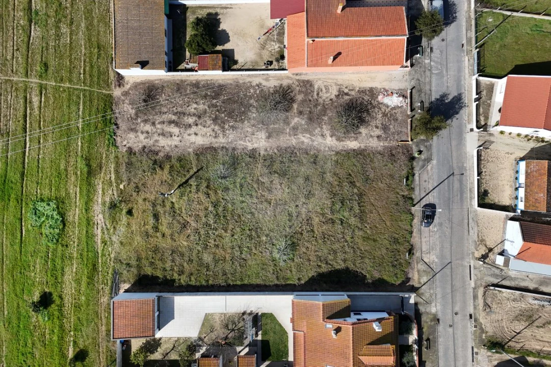Terreno para Venda em Alpiarça Foto 3