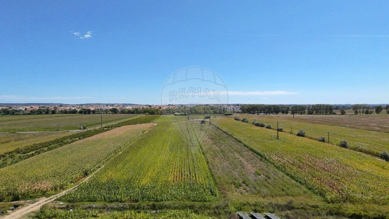 Terreno para Venda em Alpiarça Foto 6