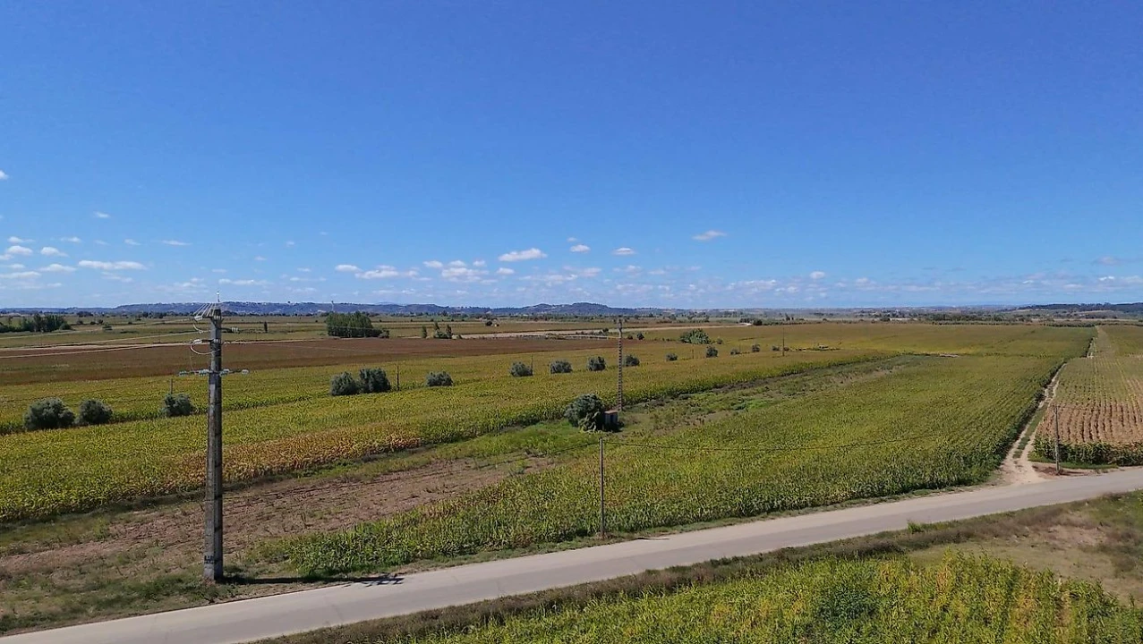 Terreno para Venda em Alpiarça Foto 2