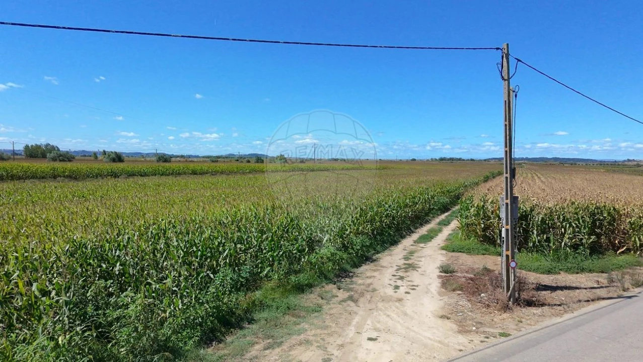 Terreno para Venda em Alpiarça Foto 5
