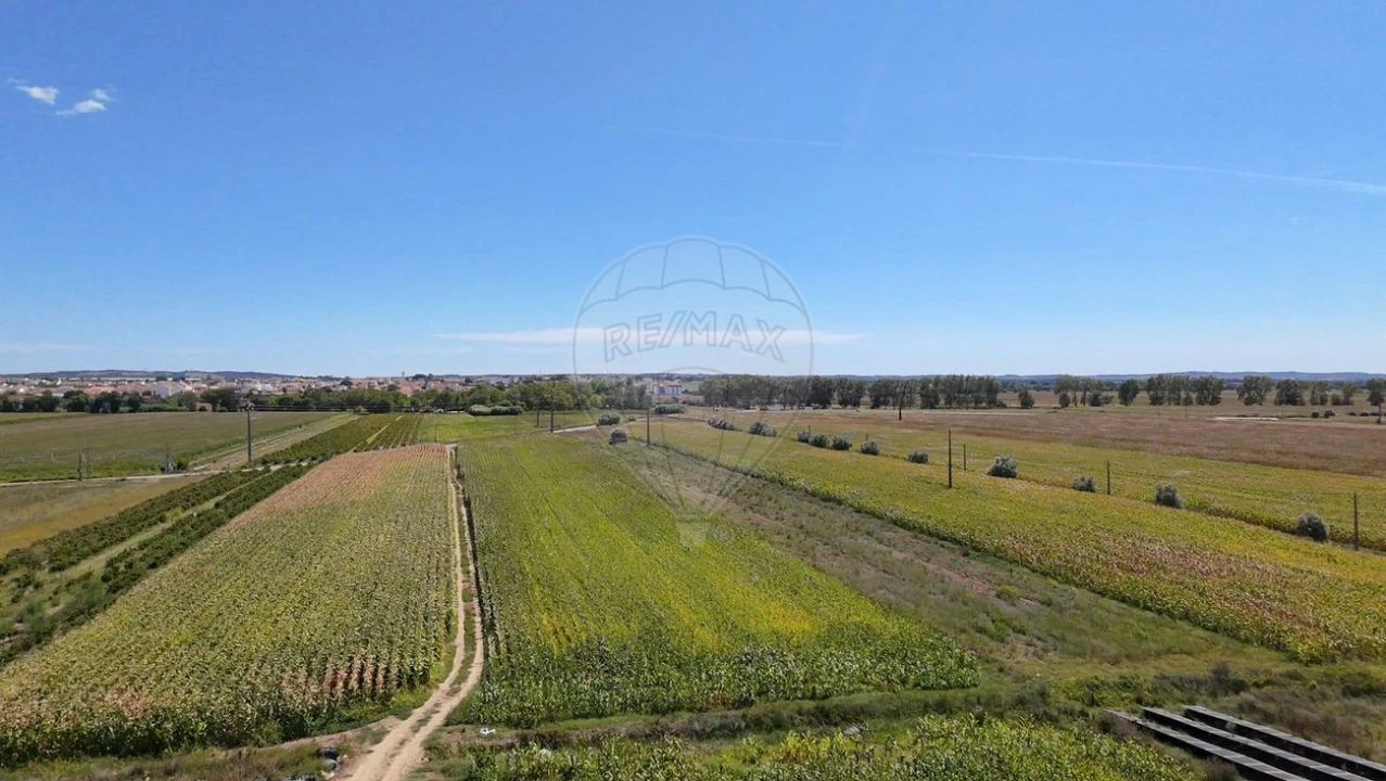 Terreno para Venda em Alpiarça Foto 3