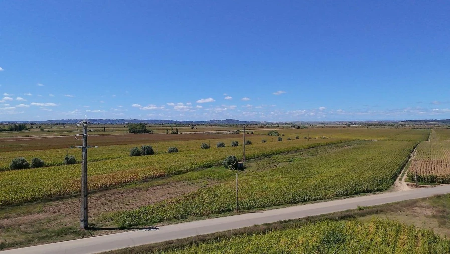 Terreno para Venda em Alpiarça Foto 2