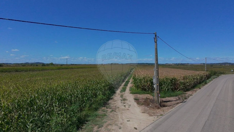 Terreno para Venda em Alpiarça Foto 4