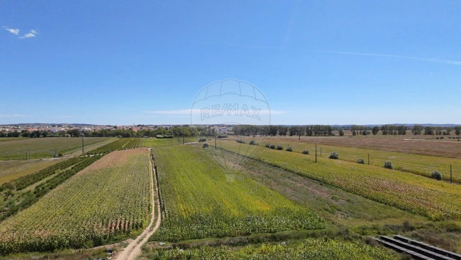Terreno para Venda em Alpiarça Foto 3