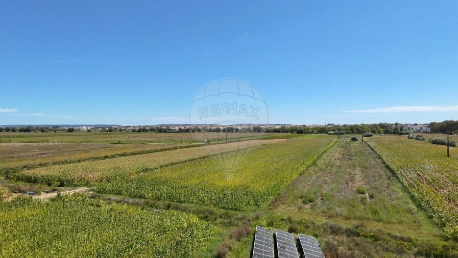 Terreno para Venda em Alpiarça Foto 8