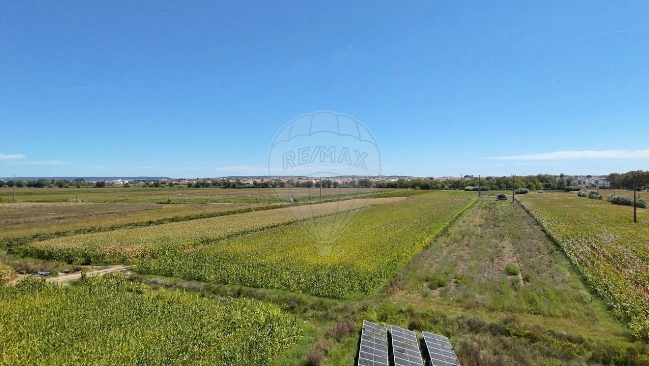 Terreno para Venda em Alpiarça Foto 8