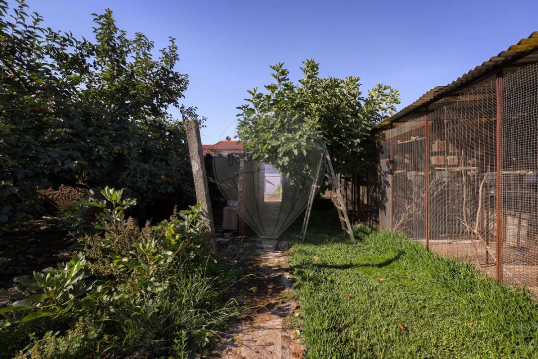 Moradia T6 para Venda em Milheiros de Poiares Foto 43