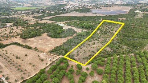 Terreno para Venda em Almoster