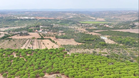 Terreno para Venda em Almoster