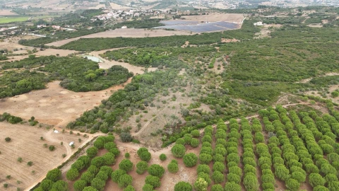 Terreno para Venda em Almoster