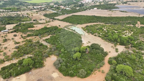 Terreno para Venda em Almoster