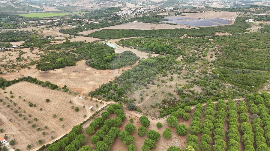 Terreno para Venda em Almoster Foto 5