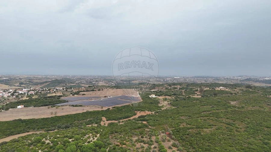 Terreno para Venda em Almoster Foto 4