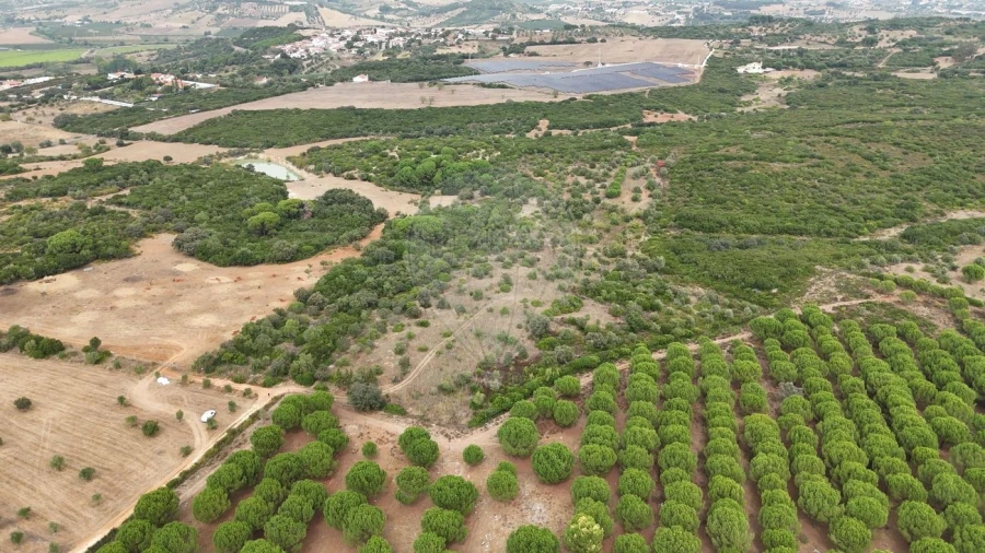 Terreno para Venda em Almoster Foto 7
