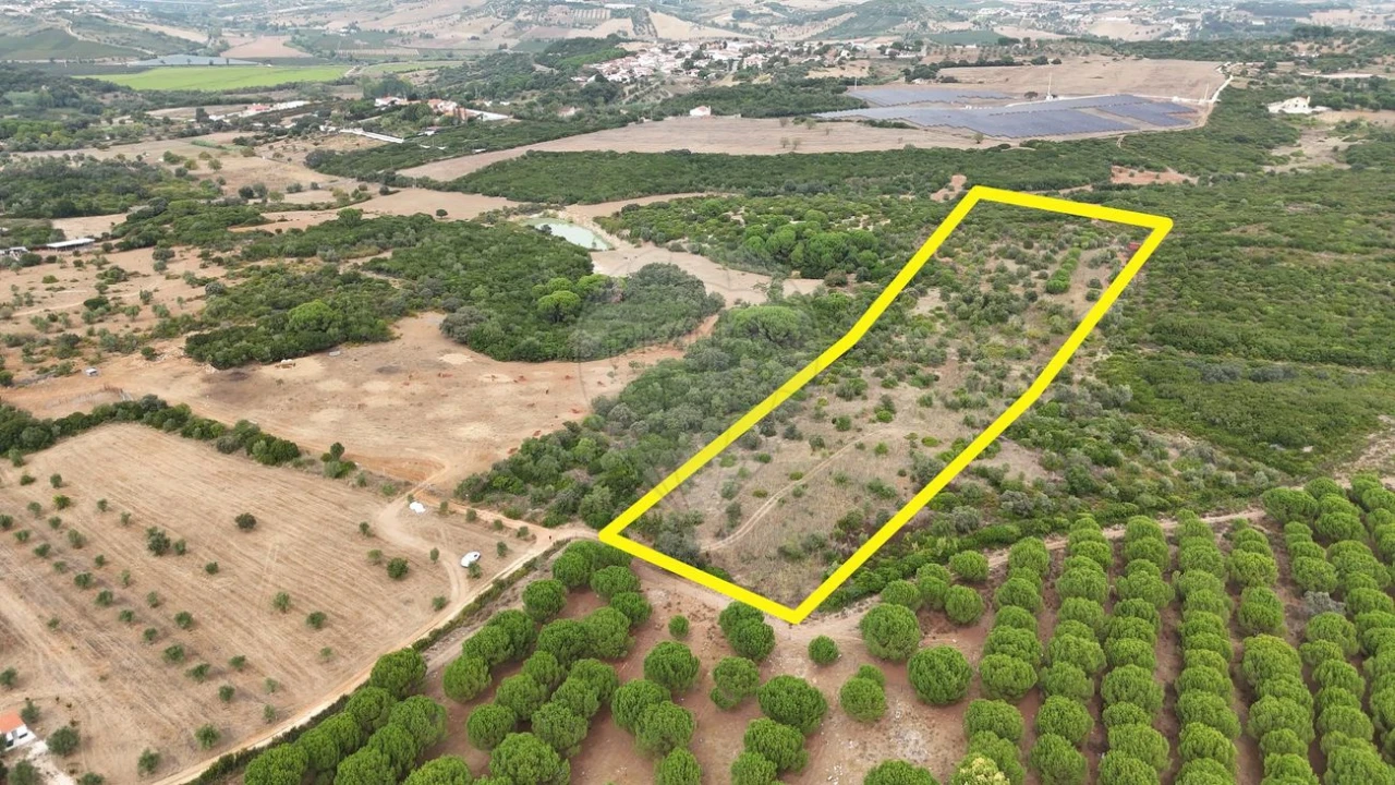 Terreno para Venda em Almoster Foto 6