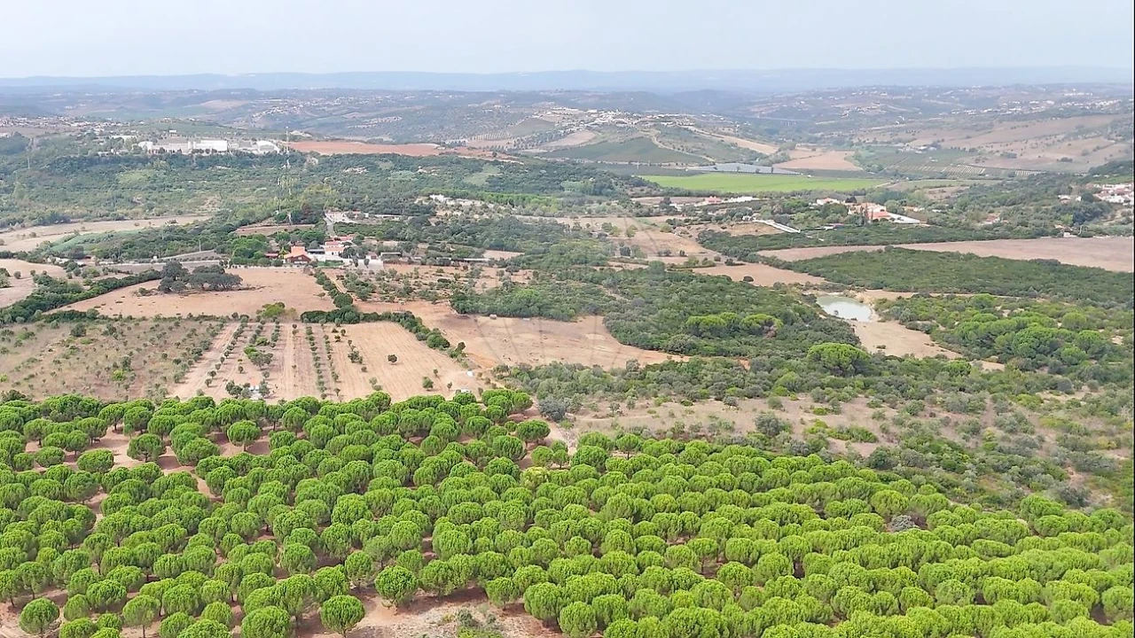 Terreno para Venda em Almoster Foto 10