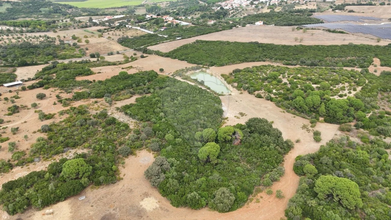 Terreno para Venda em Almoster Foto 9