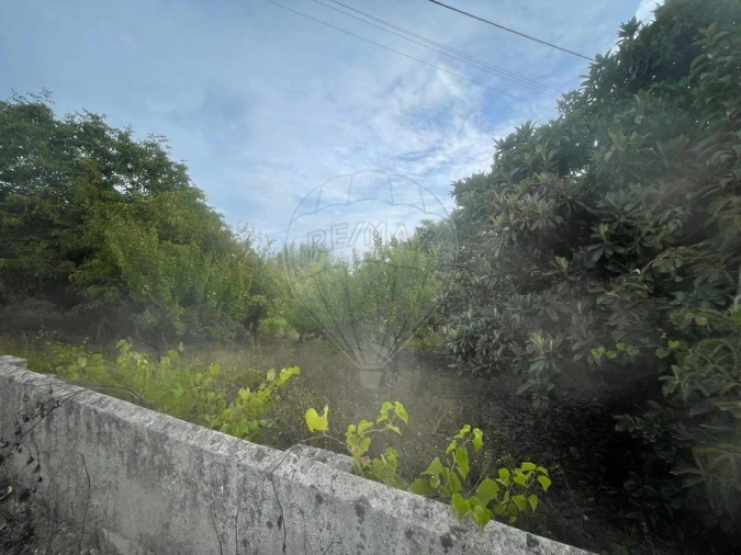 Terreno para Venda em Carvoeira e Carmões Foto 4